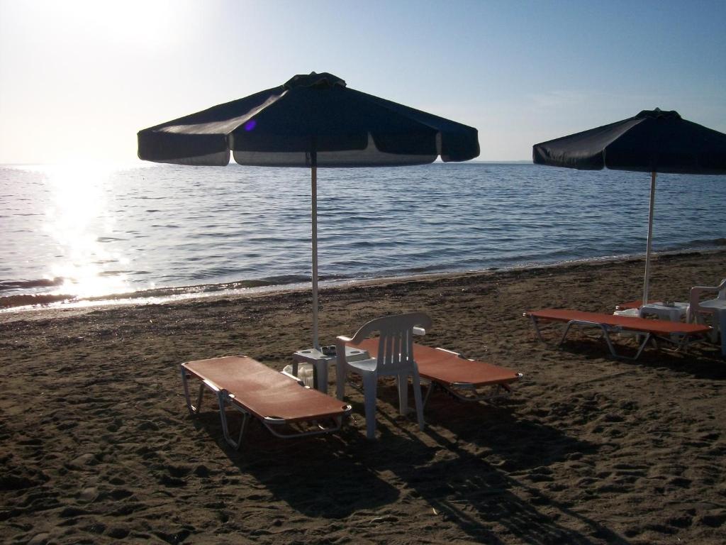 Paschalia Sea View Studios Psakoudia Exteriör bild